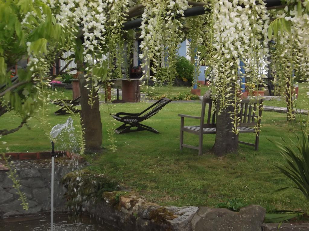 Son De Mar Hotel Rural & Apartamento Кинтуэлес Экстерьер фото
